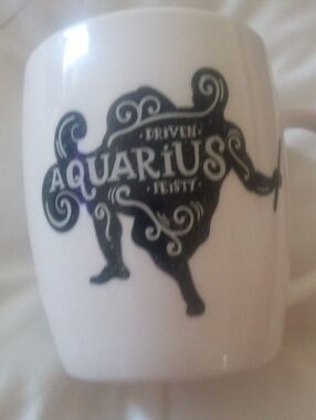 Aquarius Mug By Threshold New Porcelain